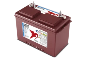 Batterie Trojan 27TMH 12V 115Ah