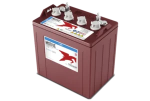 Batterie Trojan T875 8V 170Ah