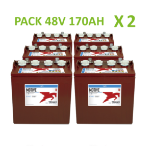 Batterie Trojan T875 8V 170ah lot de 12 batteries