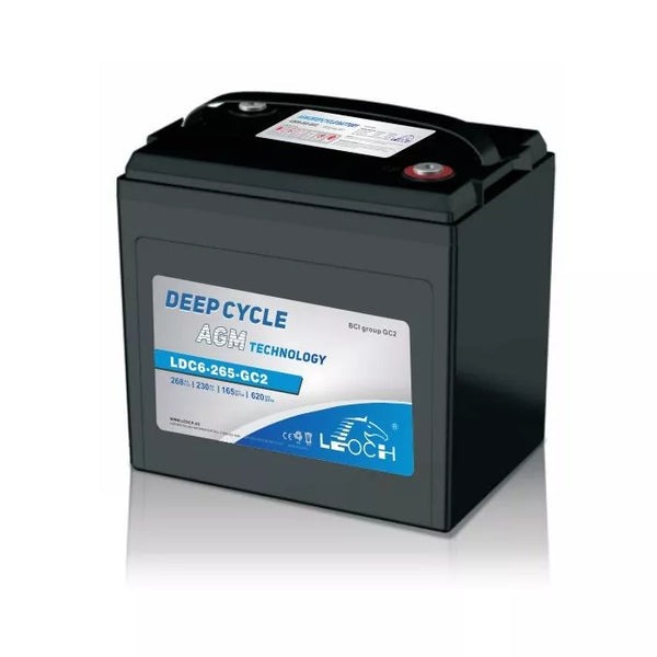 Batterie Leoch UPLUS DC6-265-GC2 6V 268Ah