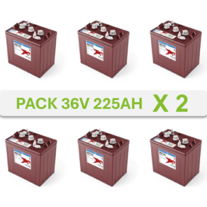 Batterie Trojan T105 6V 225h lot de 12 batteries