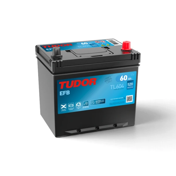 Batterie Tudor TL604